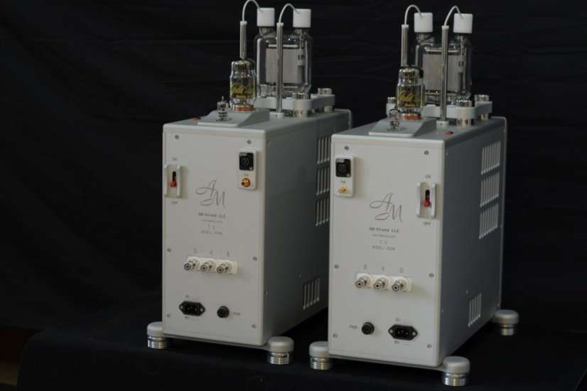 AM 833M Monoblock Amplifier