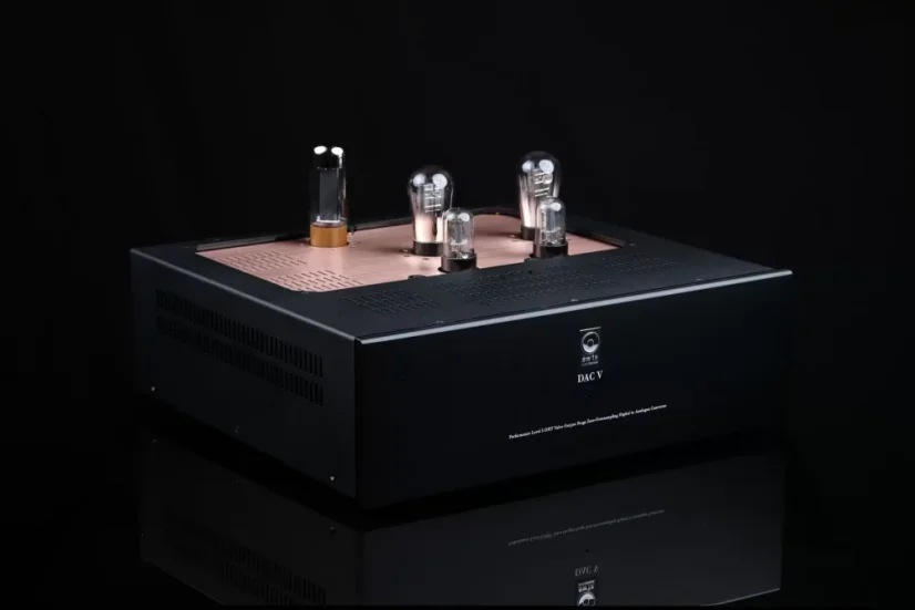 SW1X DAC V - Vyberte variantu: Standard