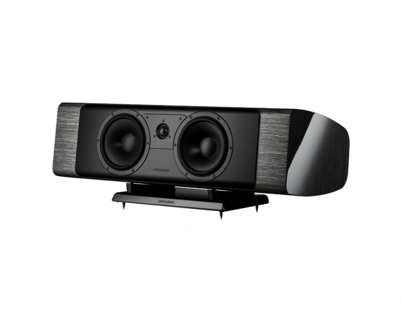 Dynaudio - Contour 25Ci - Obróbka powierzchni: Szary