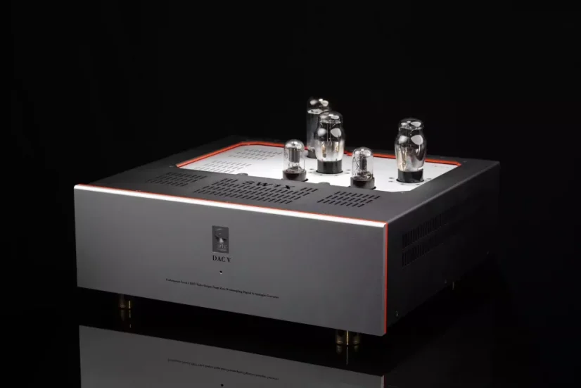 SW1X DAC V