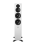 Dynaudio - Evoke 50 - Obróbka powierzchni: Jasne drewno
