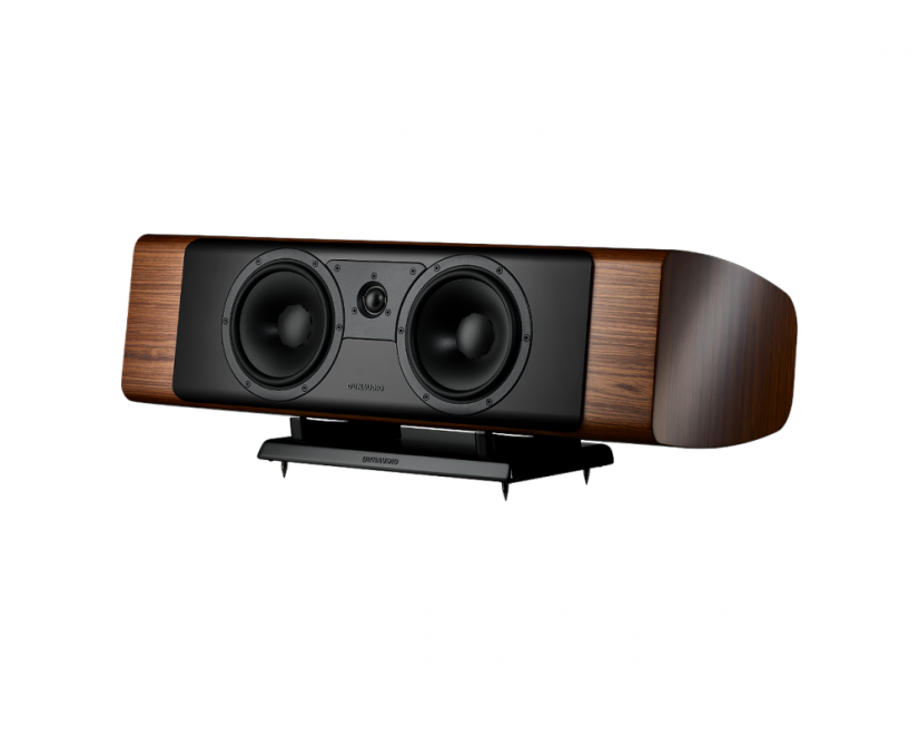 Dynaudio - Contour 25Ci - Obróbka powierzchni: Szary