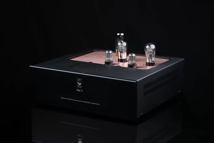 SW1X DAC V - Vyberte variantu: Standard