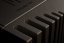 Trilogy 994 Mono Power Amplifier
