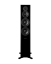 Dynaudio - Evoke 50 - Obróbka powierzchni: Jasne drewno