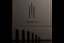 Trilogy 994 Mono Power Amplifier