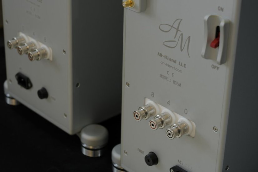 AM 833M Monoblock Amplifier